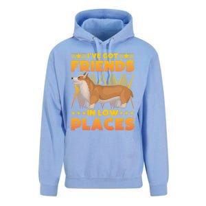 I've Got Friends In Low Places Corgi Gift Unisex Surf Hoodie