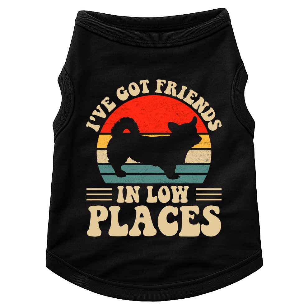 I've Got Friends In Low Places Pembroke Welsh Corgi Lover Gift Doggie Tank