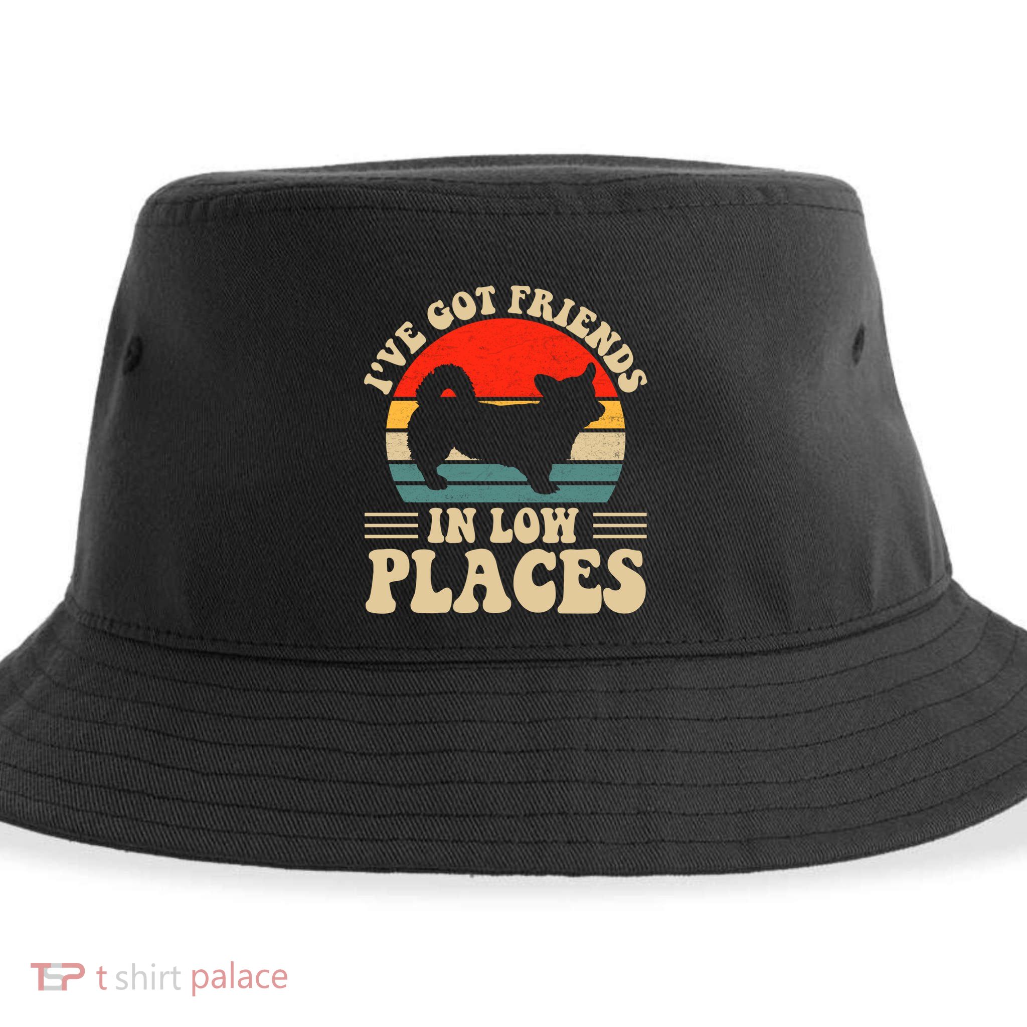 I've Got Friends In Low Places Pembroke Welsh Corgi Lover Gift Sustainable Bucket Hat