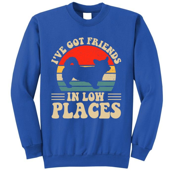 I've Got Friends In Low Places Pembroke Welsh Corgi Lover Gift Sweatshirt