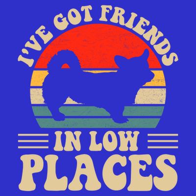 I've Got Friends In Low Places Pembroke Welsh Corgi Lover Gift T-Shirt