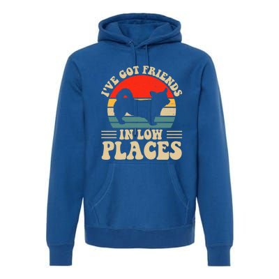 I've Got Friends In Low Places Pembroke Welsh Corgi Lover Gift Premium Hoodie