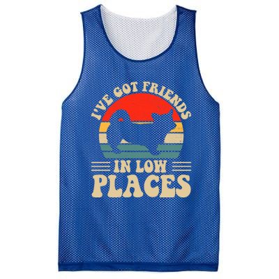 I've Got Friends In Low Places Pembroke Welsh Corgi Lover Gift Mesh Reversible Basketball Jersey Tank