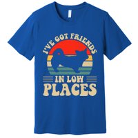 I've Got Friends In Low Places Pembroke Welsh Corgi Lover Gift Premium T-Shirt