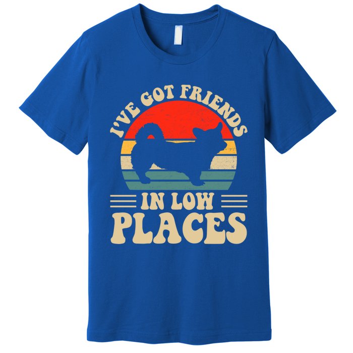 I've Got Friends In Low Places Pembroke Welsh Corgi Lover Gift Premium T-Shirt