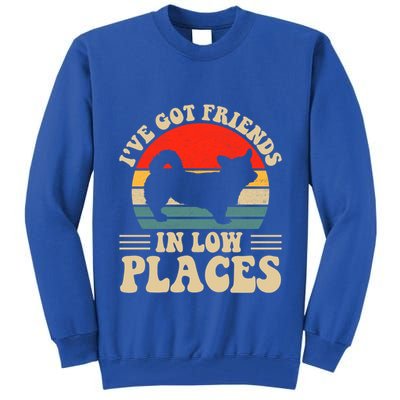 I've Got Friends In Low Places Pembroke Welsh Corgi Lover Gift Tall Sweatshirt