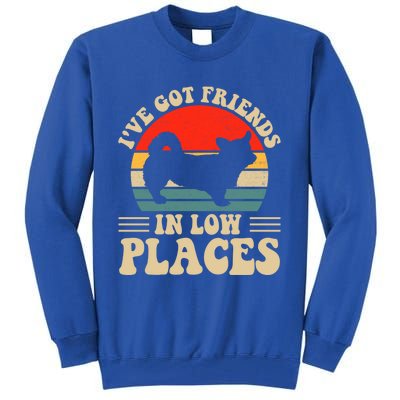 I've Got Friends In Low Places Pembroke Welsh Corgi Lover Gift Tall Sweatshirt