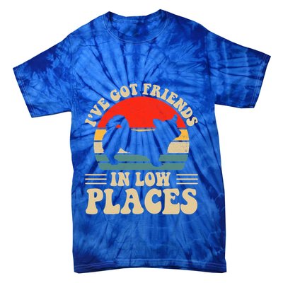 I've Got Friends In Low Places Pembroke Welsh Corgi Lover Gift Tie-Dye T-Shirt