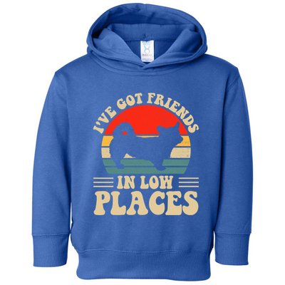 I've Got Friends In Low Places Pembroke Welsh Corgi Lover Gift Toddler Hoodie
