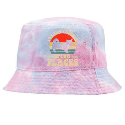 I've Got Friends In Low Places Pembroke Welsh Corgi Lover Gift Tie-Dyed Bucket Hat