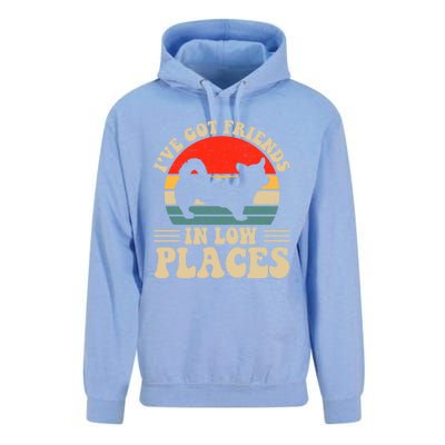 I've Got Friends In Low Places Pembroke Welsh Corgi Lover Gift Unisex Surf Hoodie