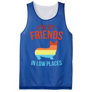 I've Got Friends In Low Places Pembroke Welsh Corgi Gift Mesh Reversible Basketball Jersey Tank