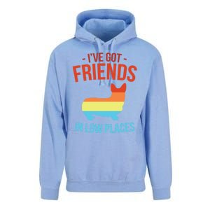 I've Got Friends In Low Places Pembroke Welsh Corgi Gift Unisex Surf Hoodie