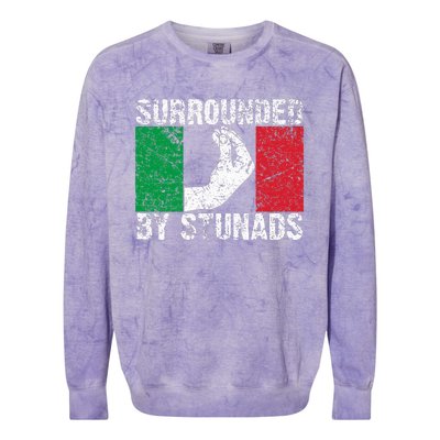 Italian Gift For Cool Surrounded By Stunads Colorblast Crewneck Sweatshirt