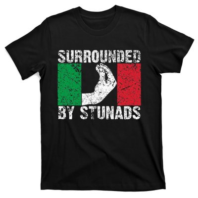 Italian Gift For Cool Surrounded By Stunads T-Shirt