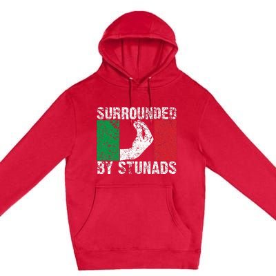 Italian Gift For Cool Surrounded By Stunads Premium Pullover Hoodie