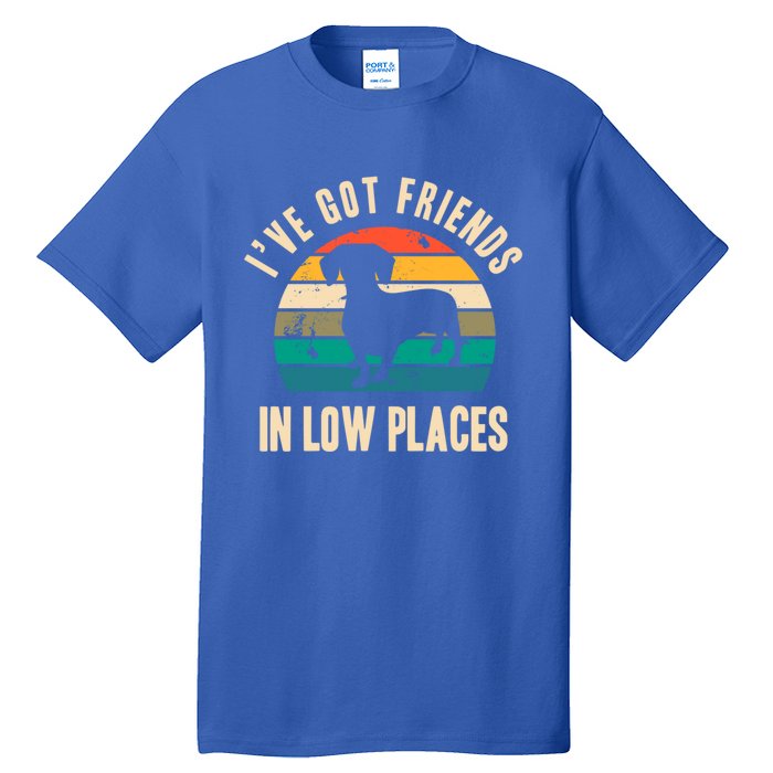 IVe Got Friends In Low Places Funny Dachshund Vintage Gift Tall T-Shirt