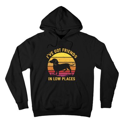 I've got friends in low places funny dachshund apparel Hoodie