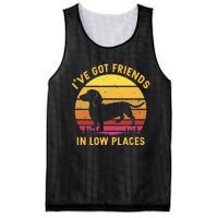 I've got friends in low places funny dachshund apparel Mesh Reversible Basketball Jersey Tank