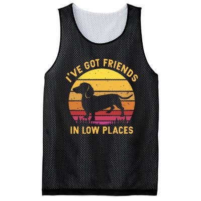 I've got friends in low places funny dachshund apparel Mesh Reversible Basketball Jersey Tank