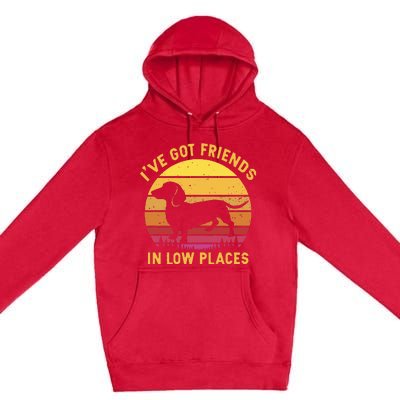 I've got friends in low places funny dachshund apparel Premium Pullover Hoodie