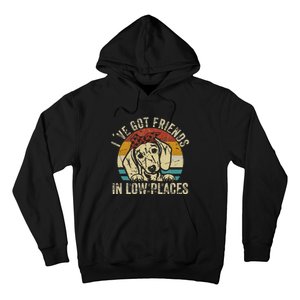 I've Got Friends In Low Places funny Dachshund Wiener Dog Hoodie