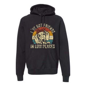 I've Got Friends In Low Places funny Dachshund Wiener Dog Premium Hoodie