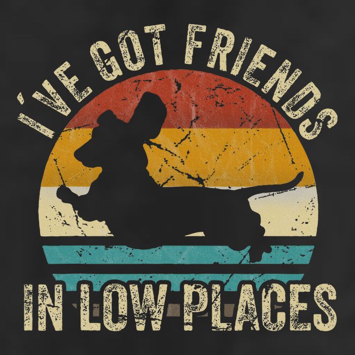 I've Got Friends In Low Places funny Dachshund Wiener Dog Adult Drive Performance Visor