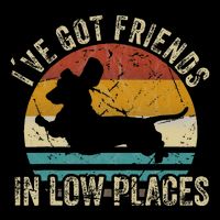I've Got Friends In Low Places funny Dachshund Wiener Dog Premium T-Shirt