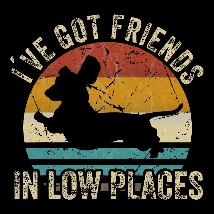 I've Got Friends In Low Places funny Dachshund Wiener Dog Premium T-Shirt