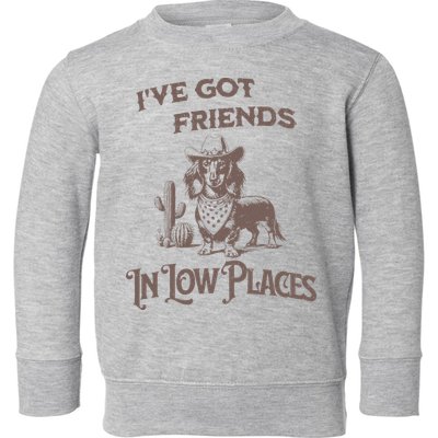 IVe Got Friends In Low Places Dachshund Toddler Sweatshirt