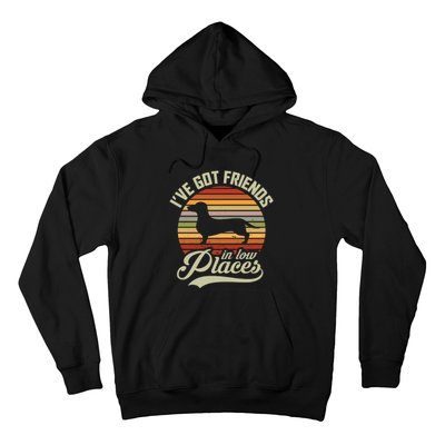 Ive Got Friends In Low Places Hoodie