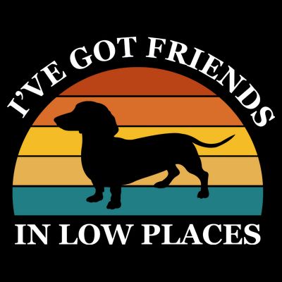 I've Got Friends In Low Places Dachshund Wiener Dog Funny T-Shirt