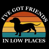 I've Got Friends In Low Places Dachshund Wiener Dog Funny T-Shirt
