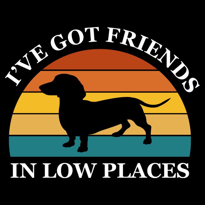 I've Got Friends In Low Places Dachshund Wiener Dog Funny T-Shirt