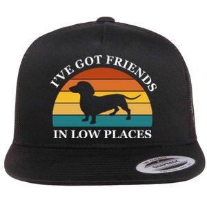 I've Got Friends In Low Places Dachshund Wiener Dog Funny Flat Bill Trucker Hat