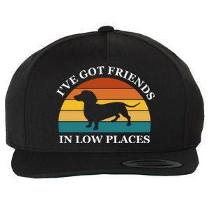 I've Got Friends In Low Places Dachshund Wiener Dog Funny Wool Snapback Cap