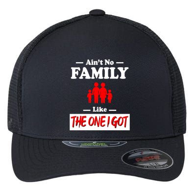 I Got Funny Family Reunion 2024 Flexfit Unipanel Trucker Cap