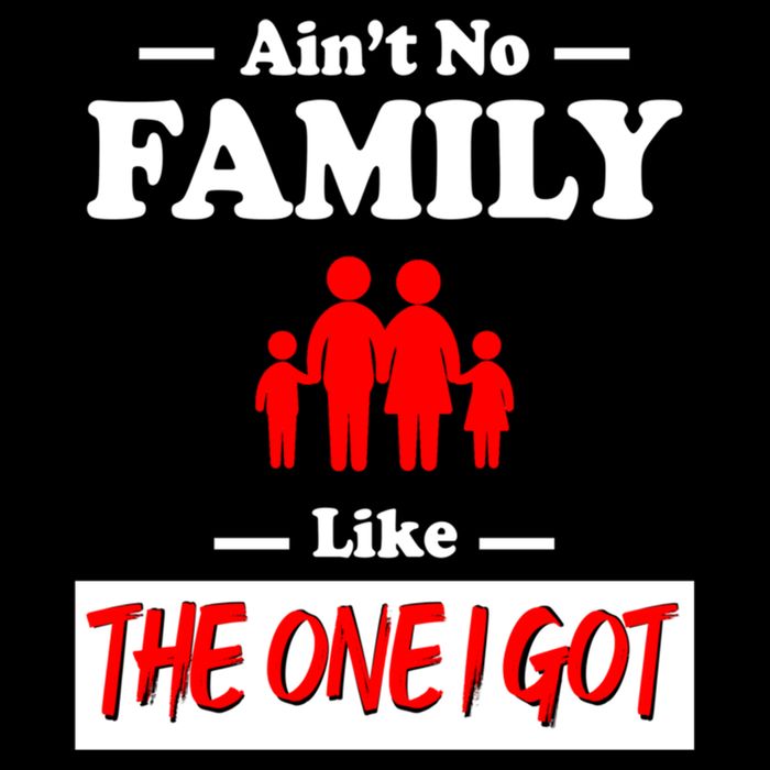 I Got Funny Family Reunion 2024 T-Shirt