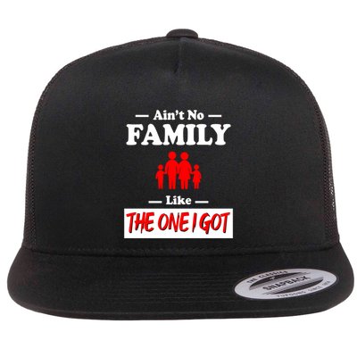 I Got Funny Family Reunion 2024 Flatbill Hat