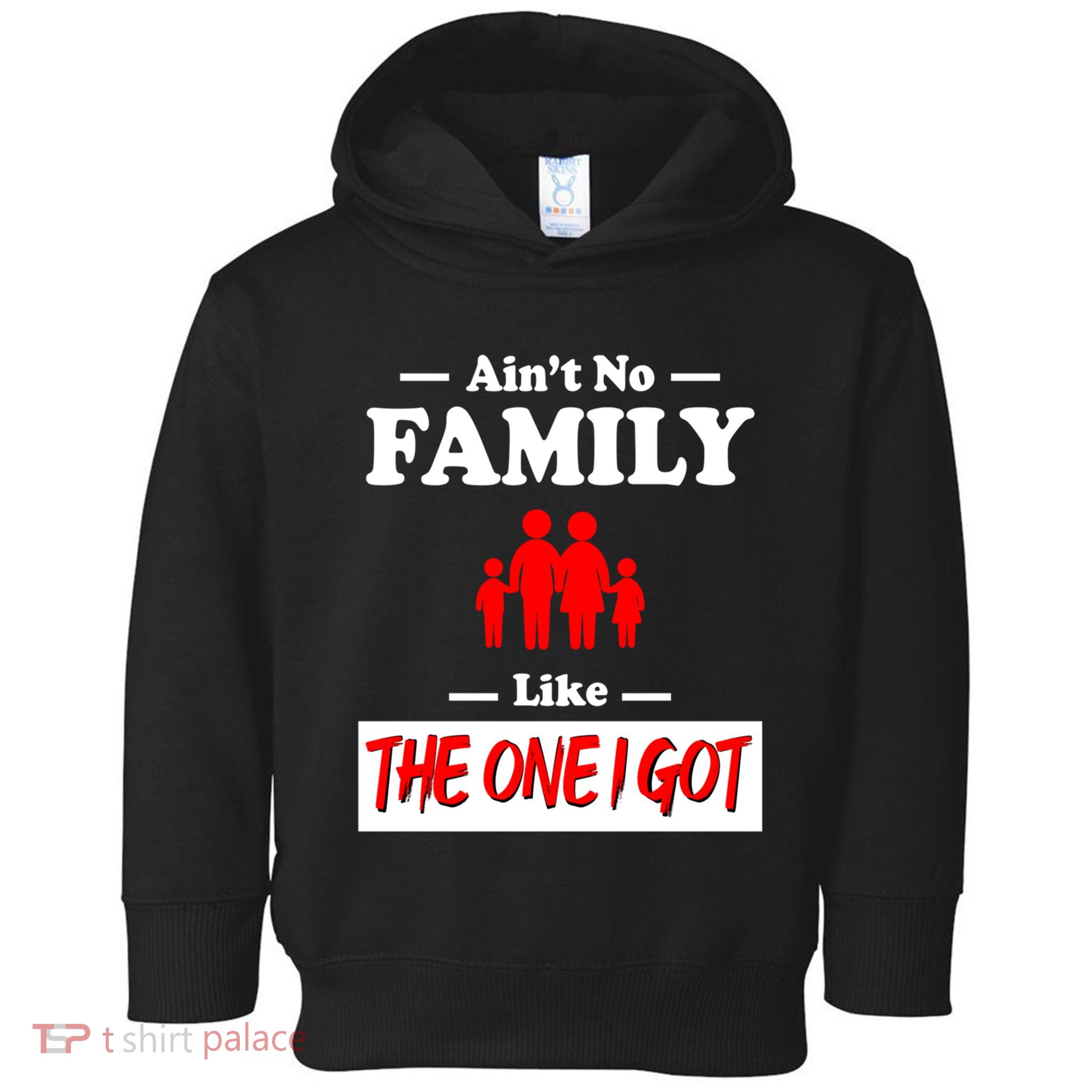 I Got Funny Family Reunion 2024 Toddler Hoodie