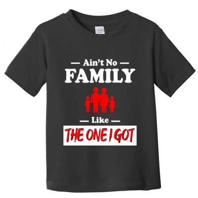 I Got Funny Family Reunion 2024 Toddler T-Shirt