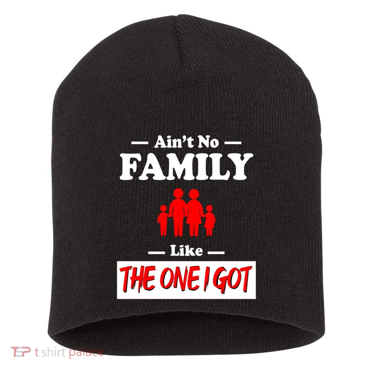 I Got Funny Family Reunion 2024 Short Acrylic Beanie
