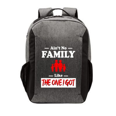 I Got Funny Family Reunion 2024 Vector Backpack