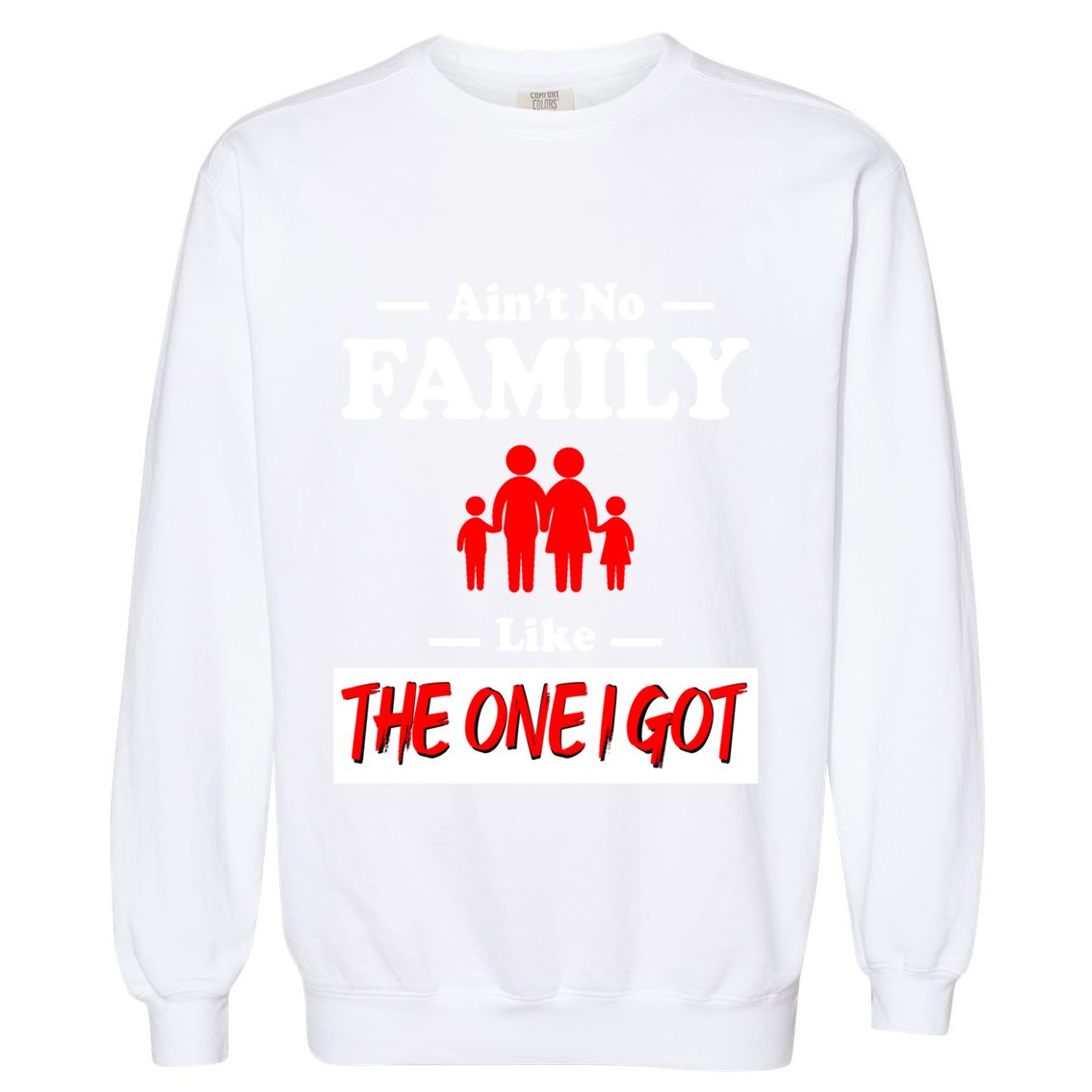 I Got Funny Family Reunion 2024 Garment-Dyed Sweatshirt