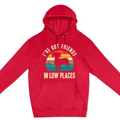 IVe Got Friends In Low Places Funny Dachshund Vintage Gift Premium Pullover Hoodie