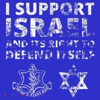 IDF Grunge I Support Israel and its Right to Defend Itself Kids T-Shirt
