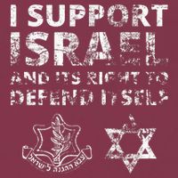 IDF Grunge I Support Israel and its Right to Defend Itself 16oz Travel Tumbler