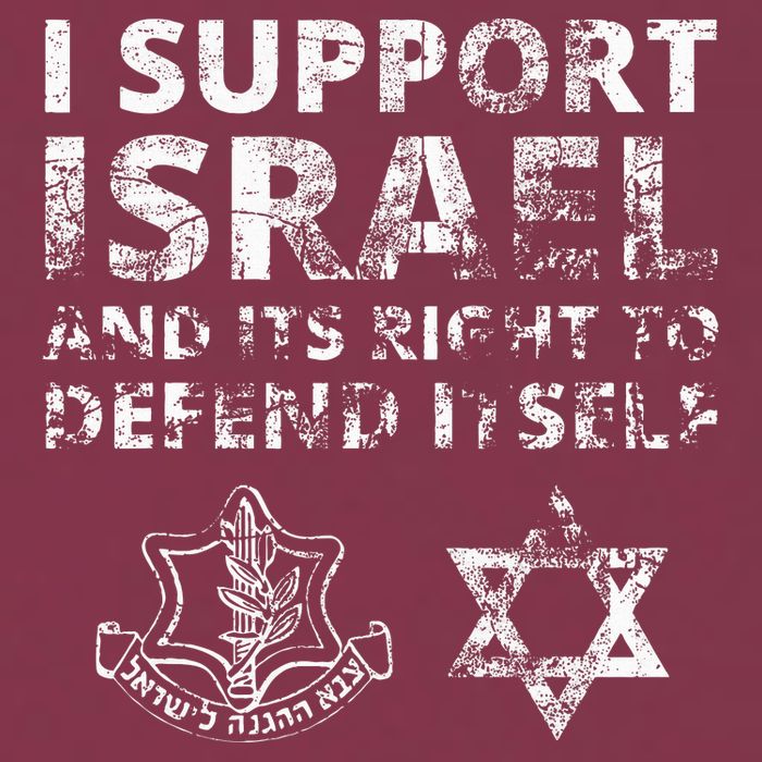 IDF Grunge I Support Israel and its Right to Defend Itself 16oz Travel Tumbler