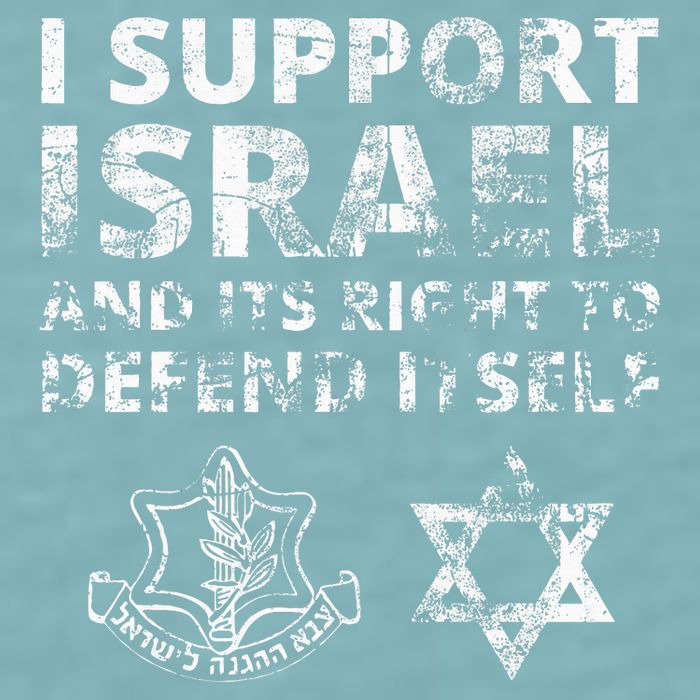 IDF Grunge I Support Israel and its Right to Defend Itself Sueded Cloud Jersey T-Shirt